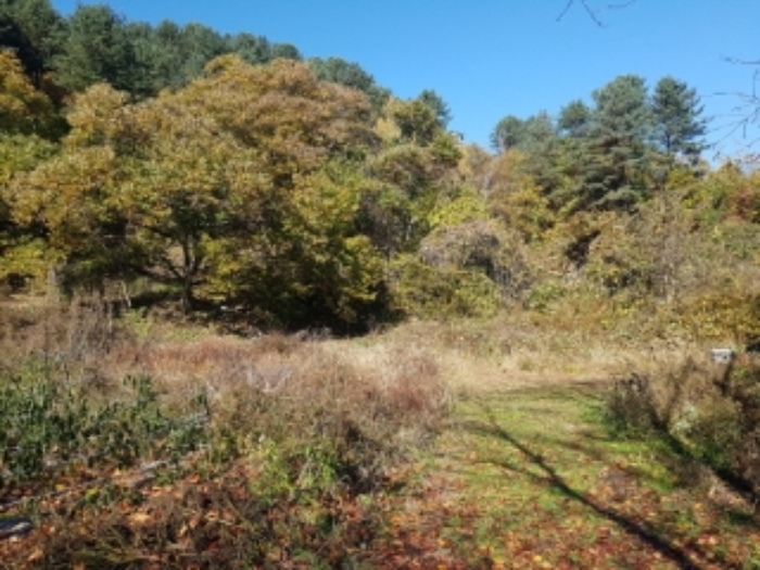 춘천지법 2018타경5108-1 사진