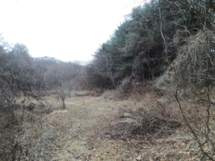 춘천지법 2019타경6139-1 사진