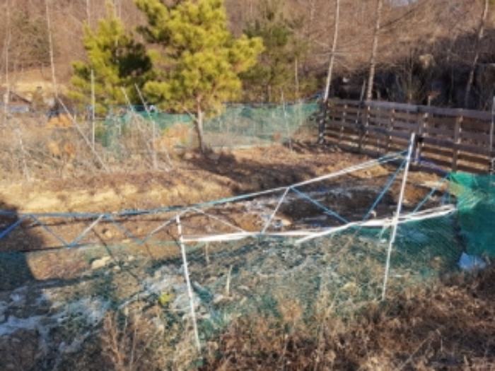 춘천지법 2019타경55957-1 사진