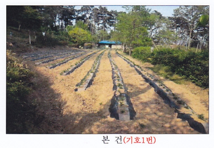 강릉지원 2014타경2364-2 사진