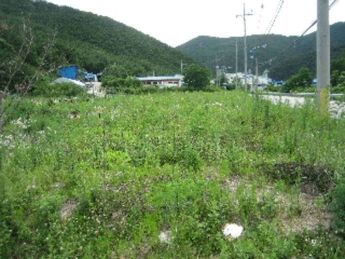 강릉지원 2014타경4971-2 사진