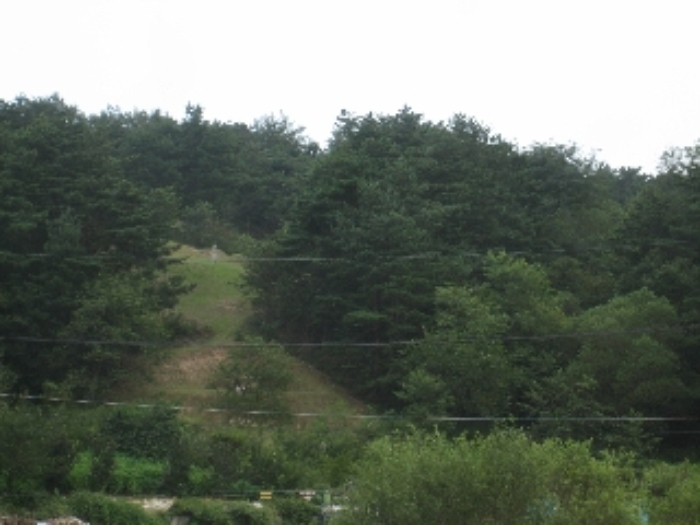강릉지원 2014타경6441-2 사진