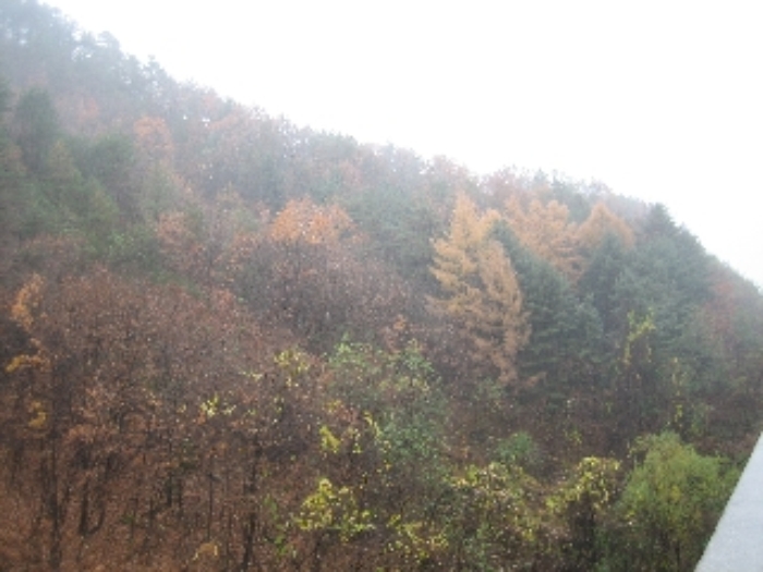 강릉지원 2015타경5841-2 사진