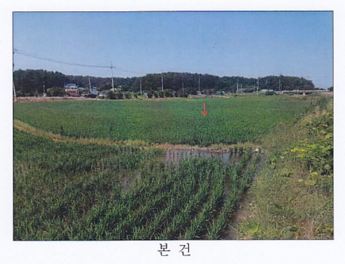 강릉지원 2019타경2154-1 사진