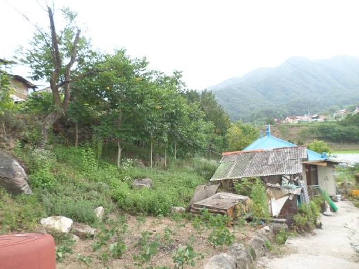 원주지원 2014타경5557-2 사진