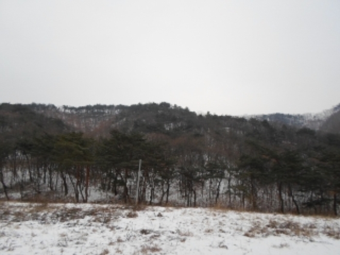원주지원 2014타경10047-2 사진