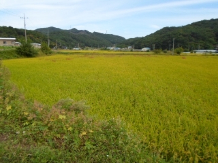 원주지원 2015타경5684-2 사진