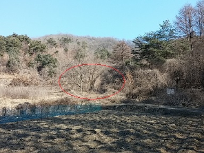 원주지원 2016타경426-3 사진