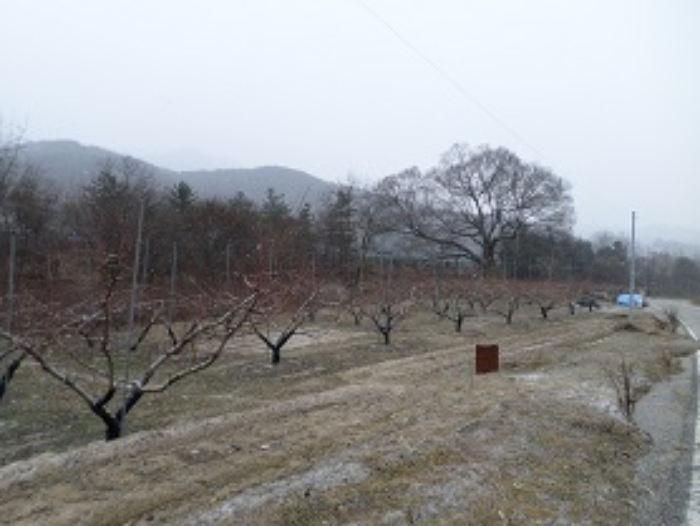 원주지원 2018타경5265-1 사진