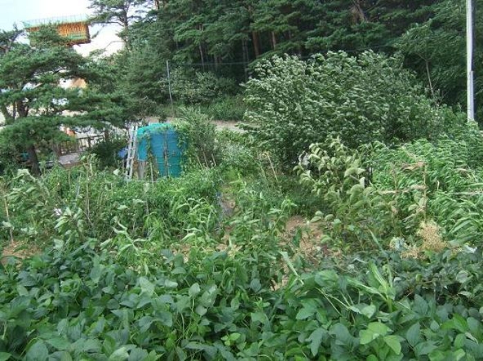 속초지원 2012타경5020-2 사진