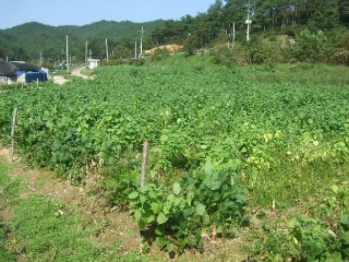 속초지원 2012타경5181-2 사진