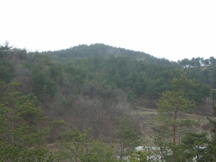 속초지원 2013타경961-2 사진
