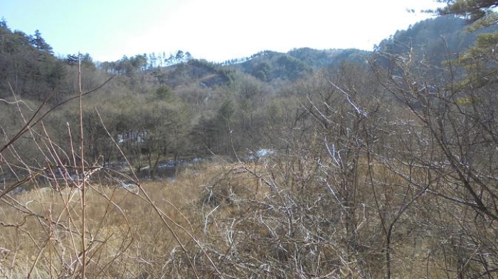 속초지원 2015타경156-2 사진