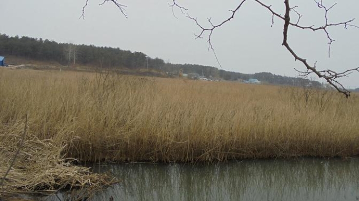 속초지원 2015타경545-2 사진