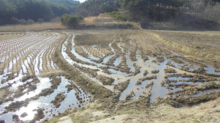 속초지원 2015타경965-2 사진