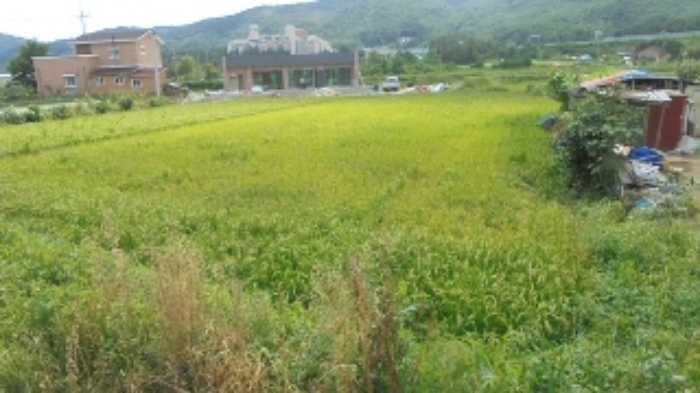 속초지원 2017타경10713-1 사진