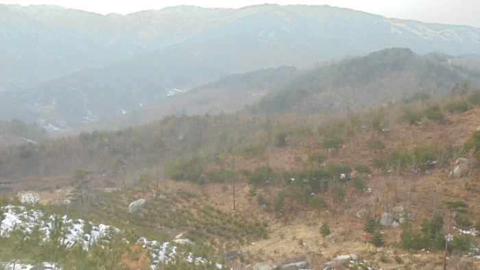 속초지원 2018타경10192-1 사진