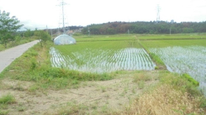 속초지원 2019타경10540-1 사진