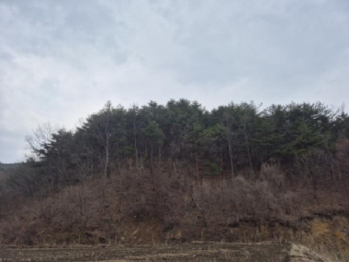 속초지원 2026타경10065-1 사진