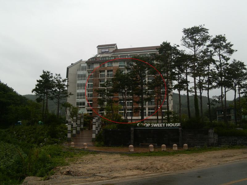 영월지원 2007타경2976-1 사진