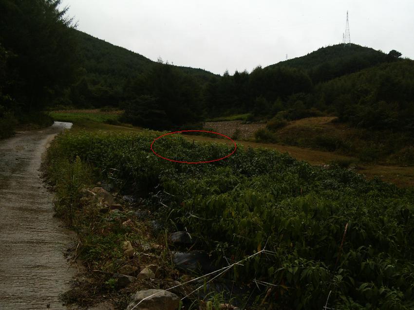 영월지원 2007타경6473-1 사진