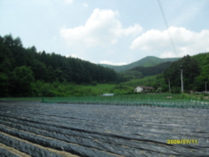 영월지원 2012타경3799-2 사진