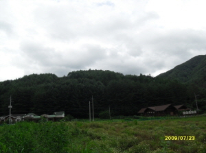 영월지원 2012타경4495-3 사진