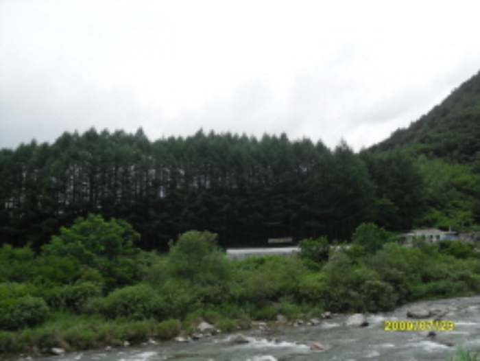 영월지원 2012타경5795-2 사진
