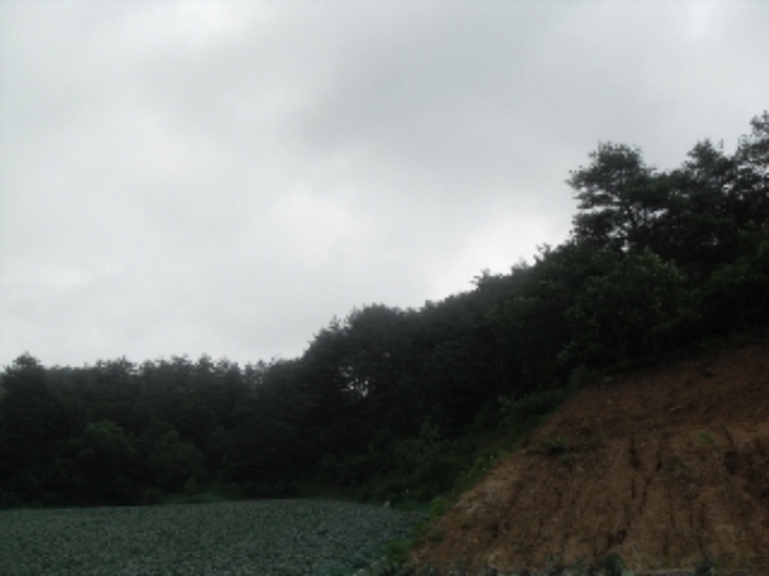 영월지원 2013타경3420-2 사진