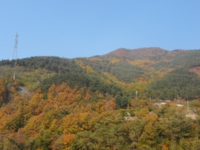 영월지원 2013타경6771-4 사진