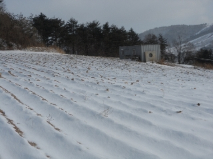 영월지원 2013타경8210-2 사진