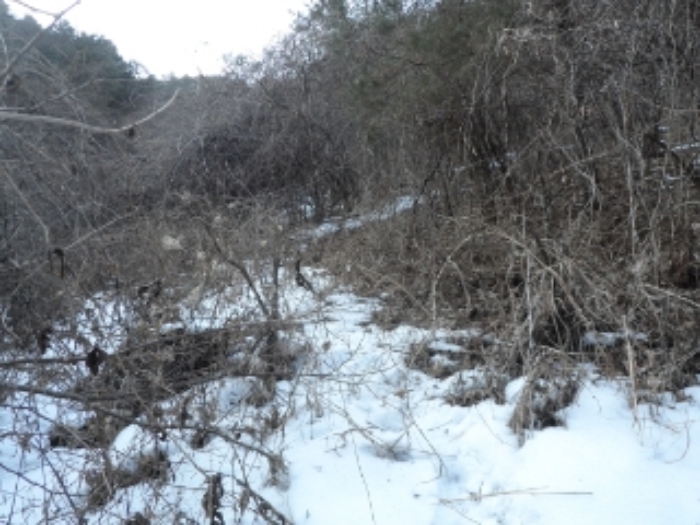 영월지원 2013타경8678-2 사진
