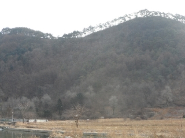 영월지원 2013타경8715-2 사진