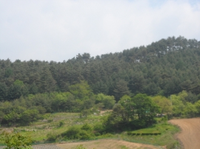 영월지원 2014타경2134-2 사진