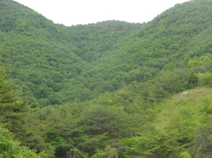 영월지원 2014타경3236-2 사진