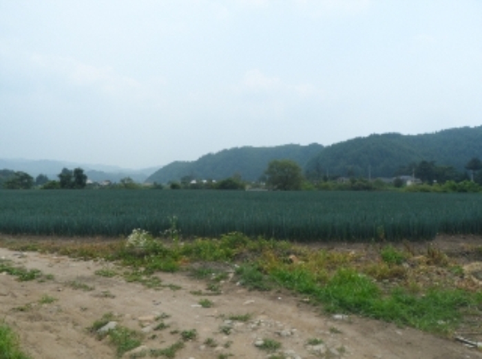영월지원 2014타경3960-2 사진