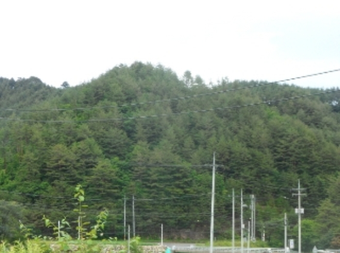 영월지원 2014타경4123-3 사진