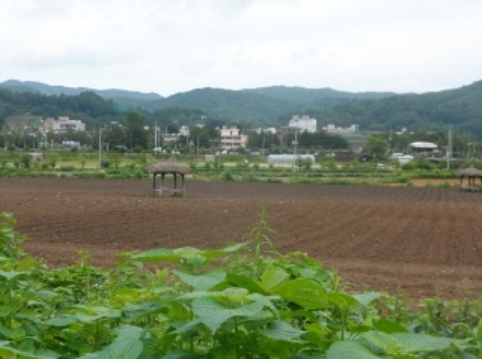 영월지원 2014타경4550-2 사진
