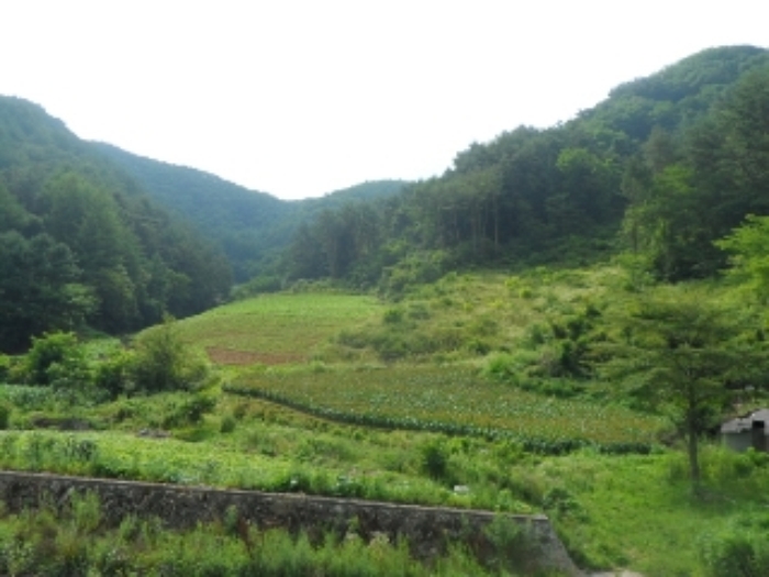 영월지원 2014타경4741-2 사진