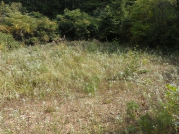 영월지원 2014타경5546-2 사진
