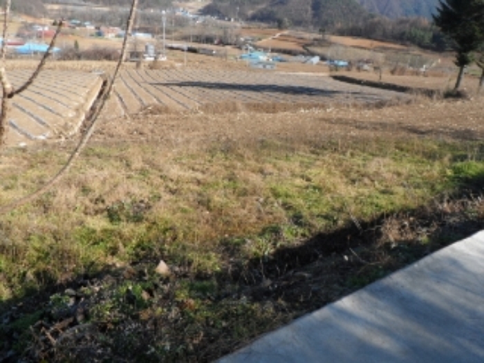 영월지원 2014타경6327-2 사진