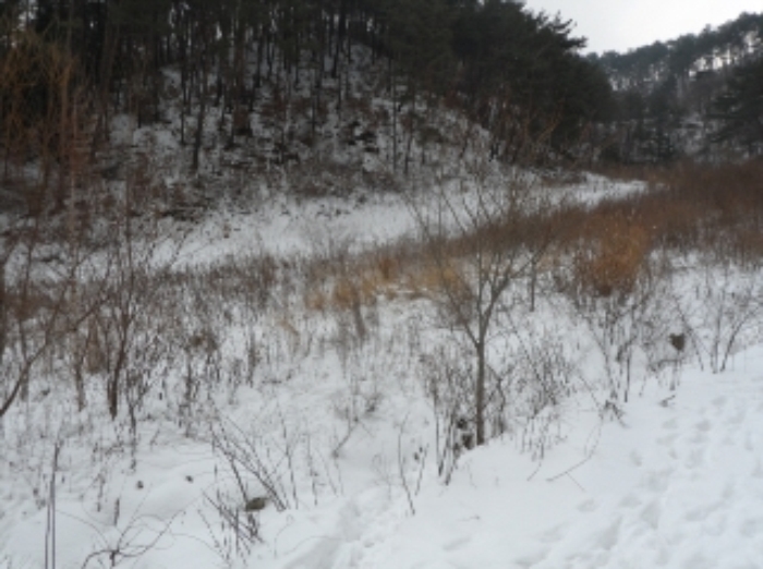 영월지원 2014타경7801-2 사진