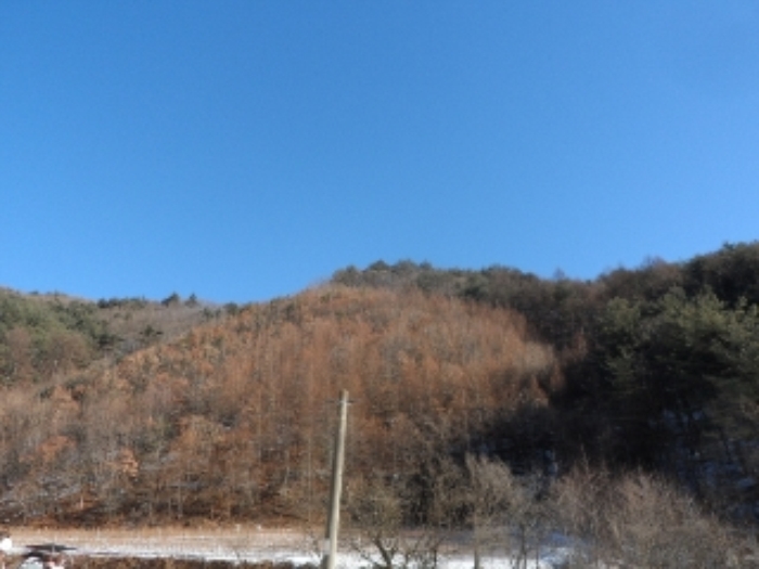 영월지원 2014타경8101-2 사진