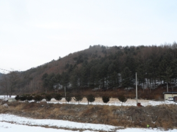 영월지원 2015타경111-3 사진