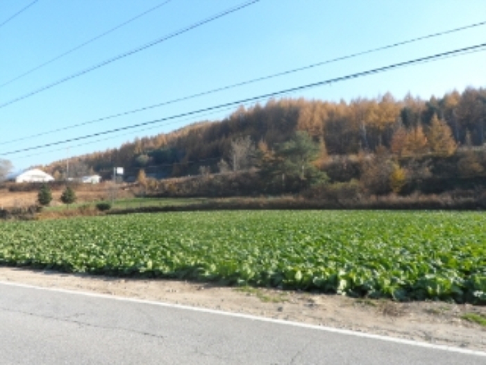 영월지원 2015타경5420-3 사진