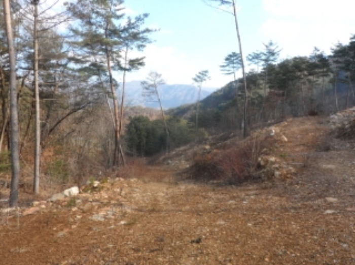 영월지원 2015타경5918-2 사진