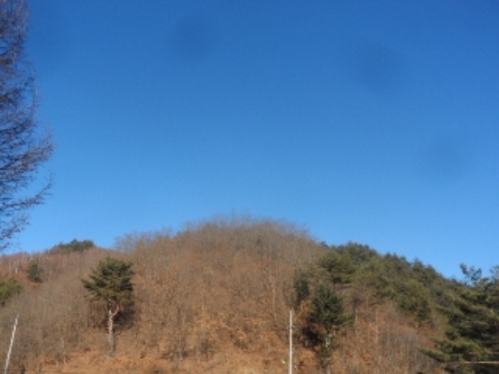 영월지원 2015타경6409-2 사진