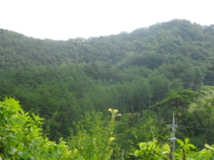 영월지원 2015타경30310-2 사진