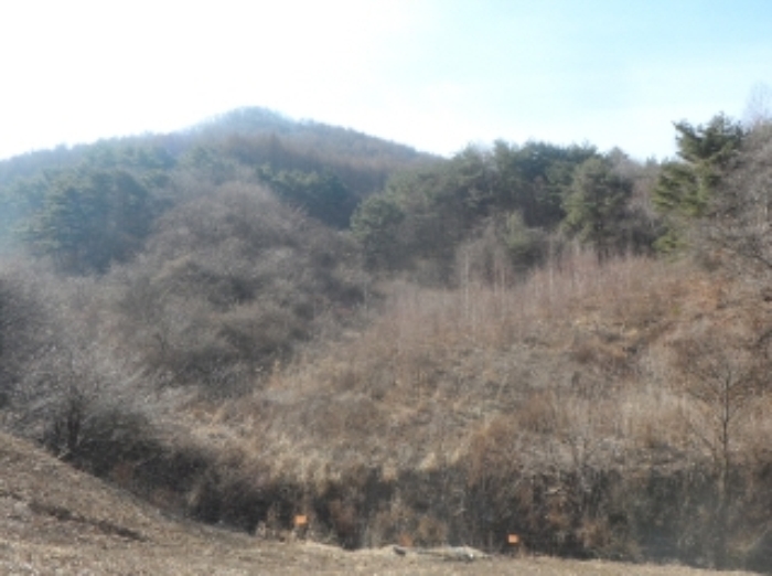 영월지원 2016타경538-2 사진