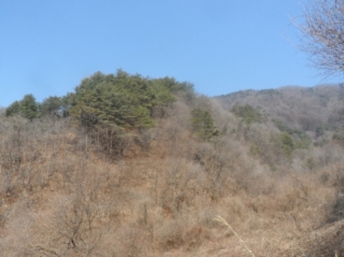 영월지원 2017타경986-1 사진